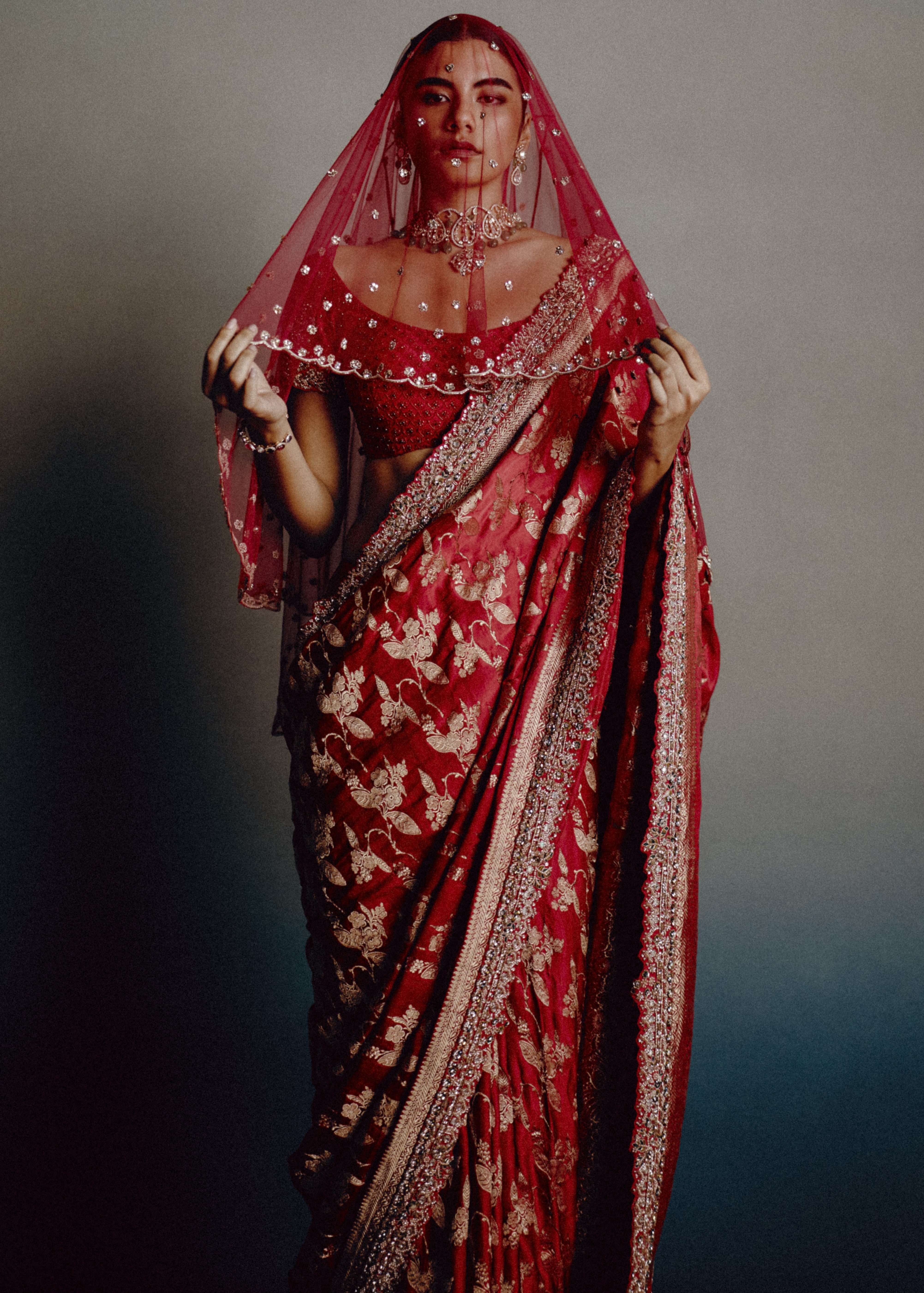 Red Epiphany Bridal Sari