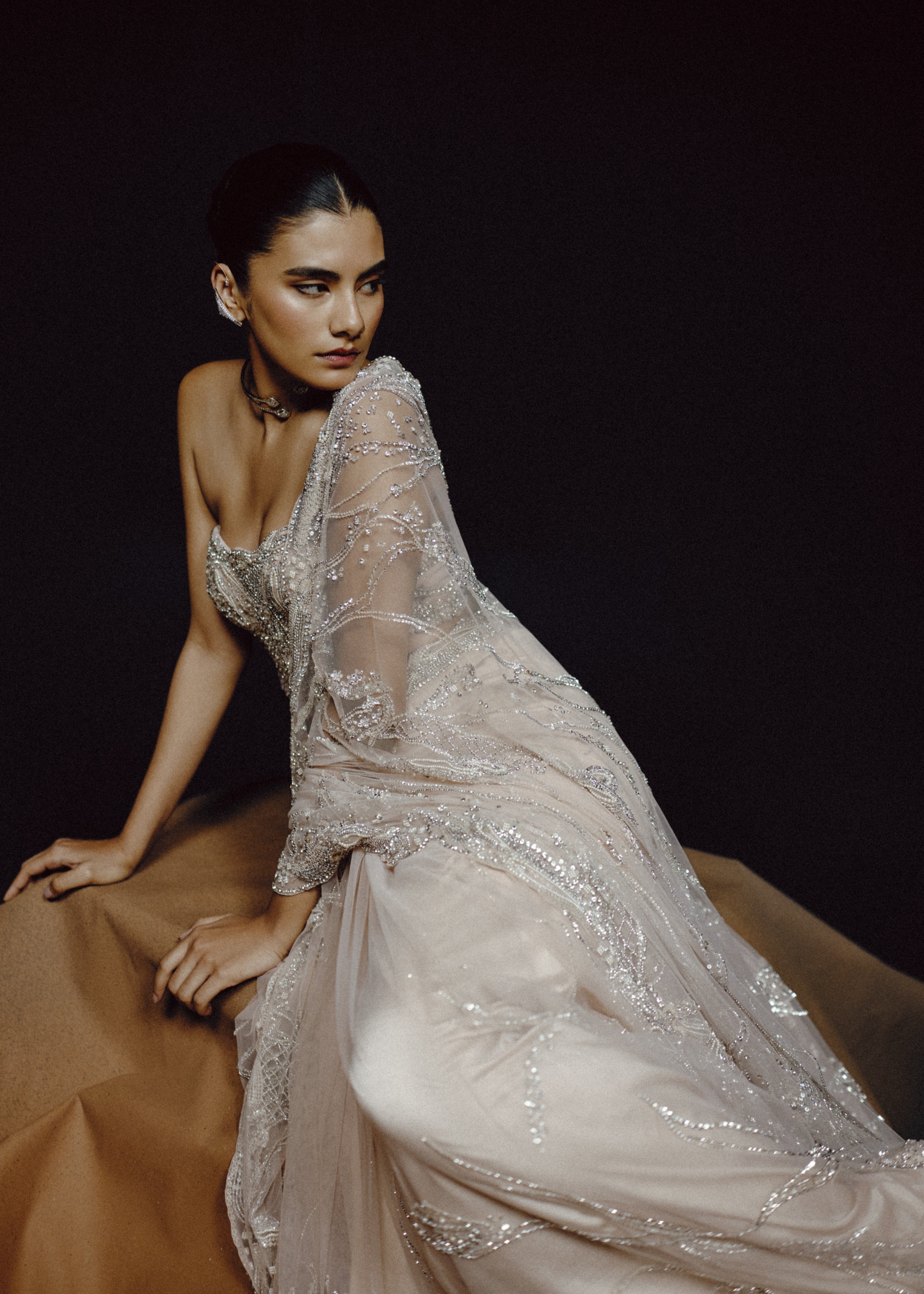 Moonlit Whisper Sari