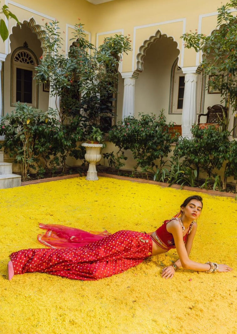 Seashells and Red Bandhani Pant Set