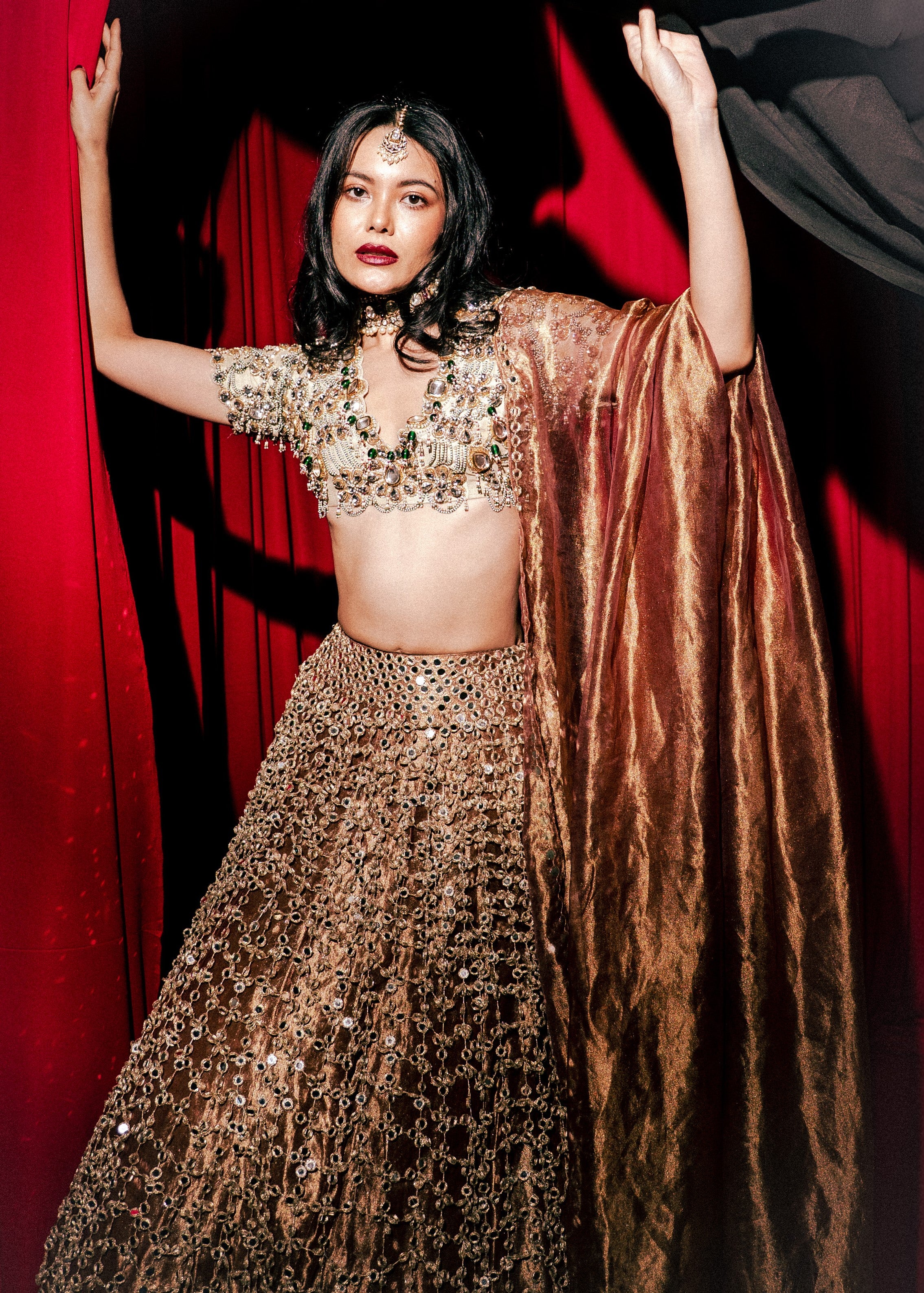Tarakini Lehenga Set