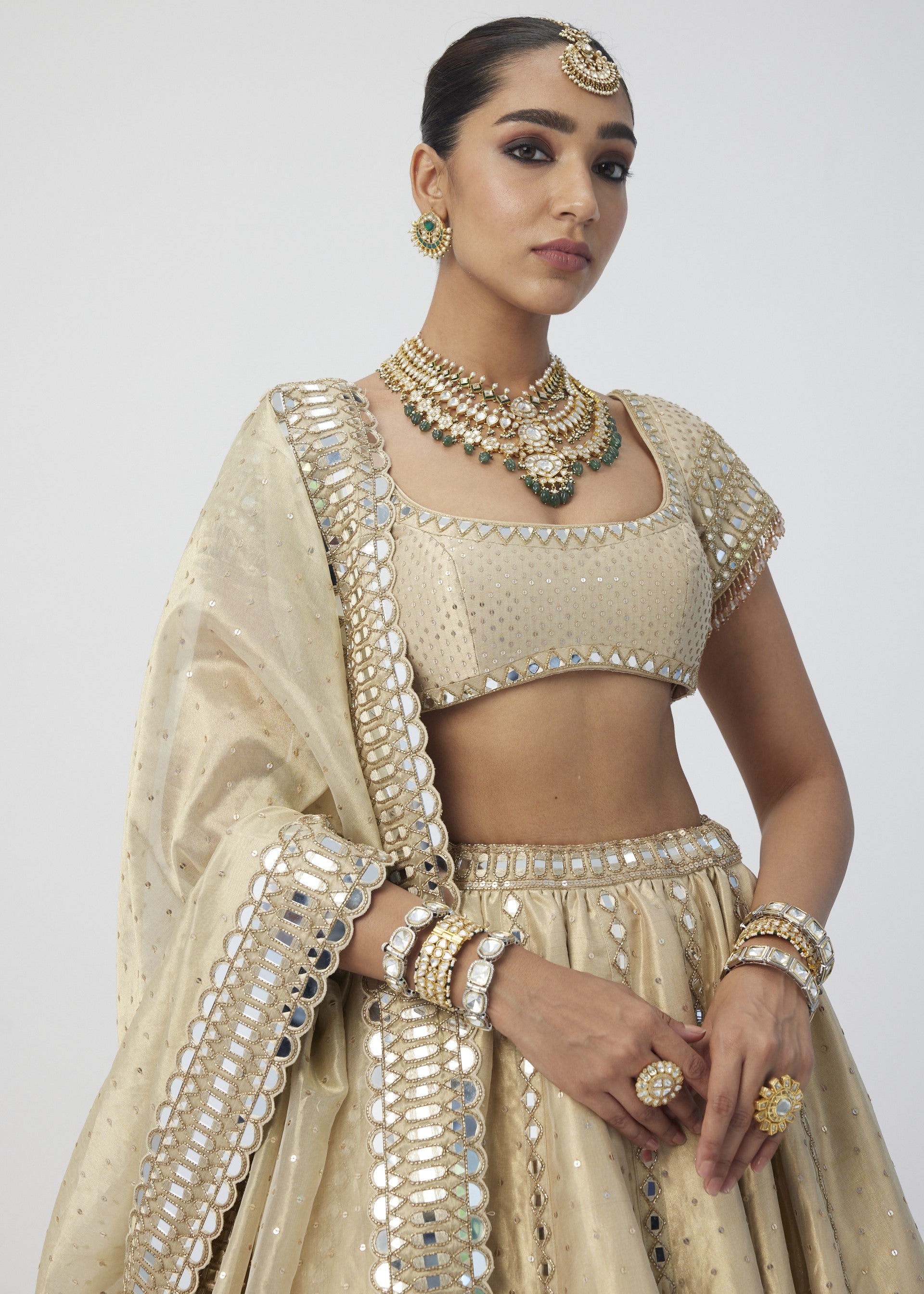 Golden Shimmer Organza Linear Lehenga Set