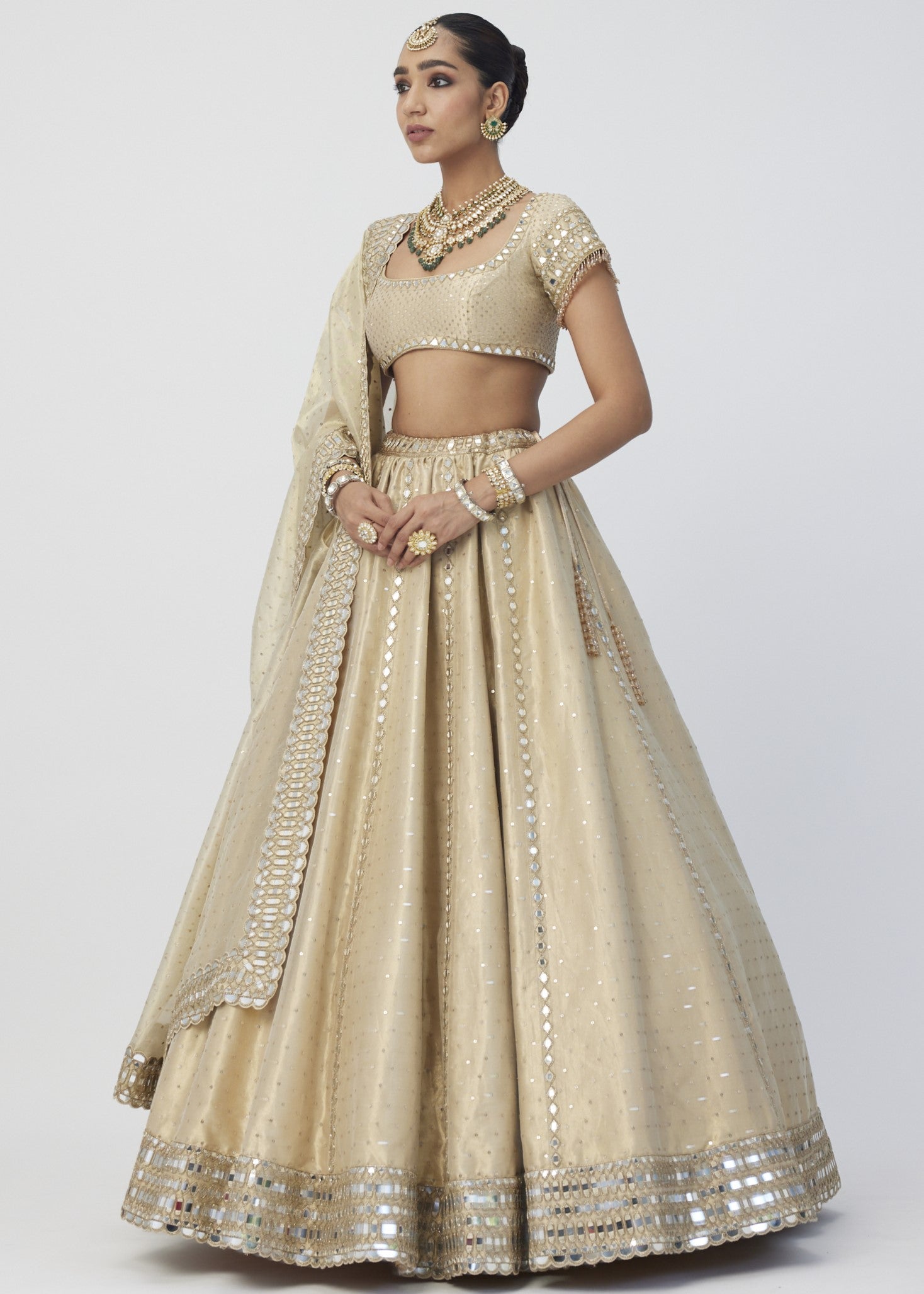 Golden Shimmer Organza Linear Lehenga Set
