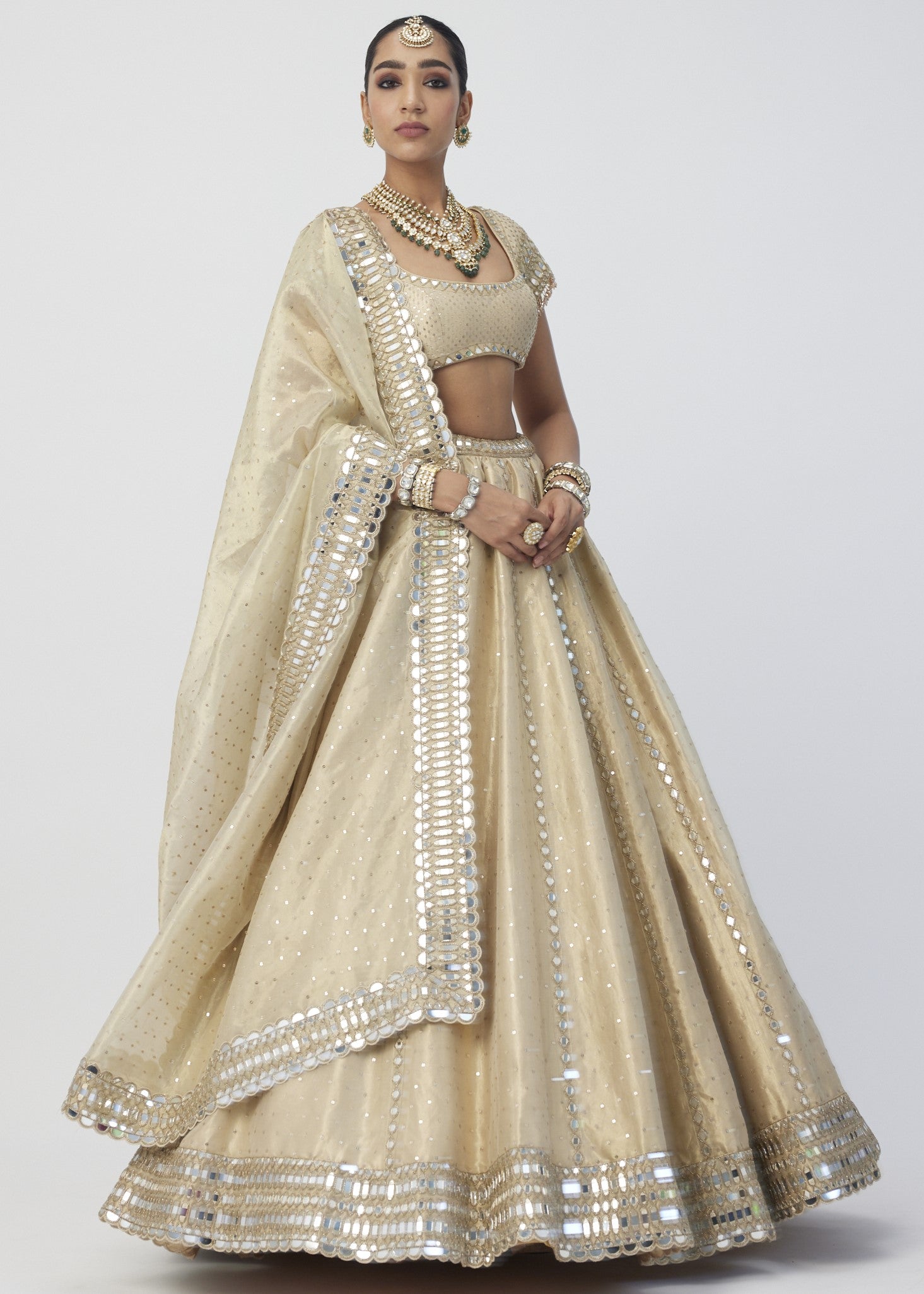 Golden Shimmer Organza Linear Lehenga Set