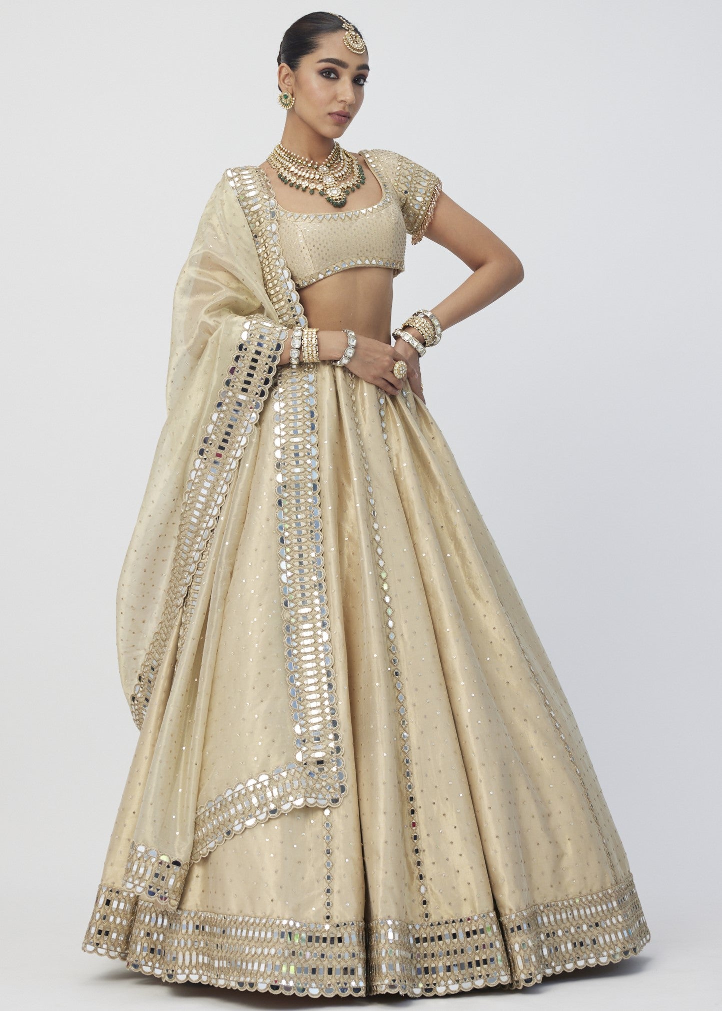Golden Shimmer Organza Linear Lehenga Set