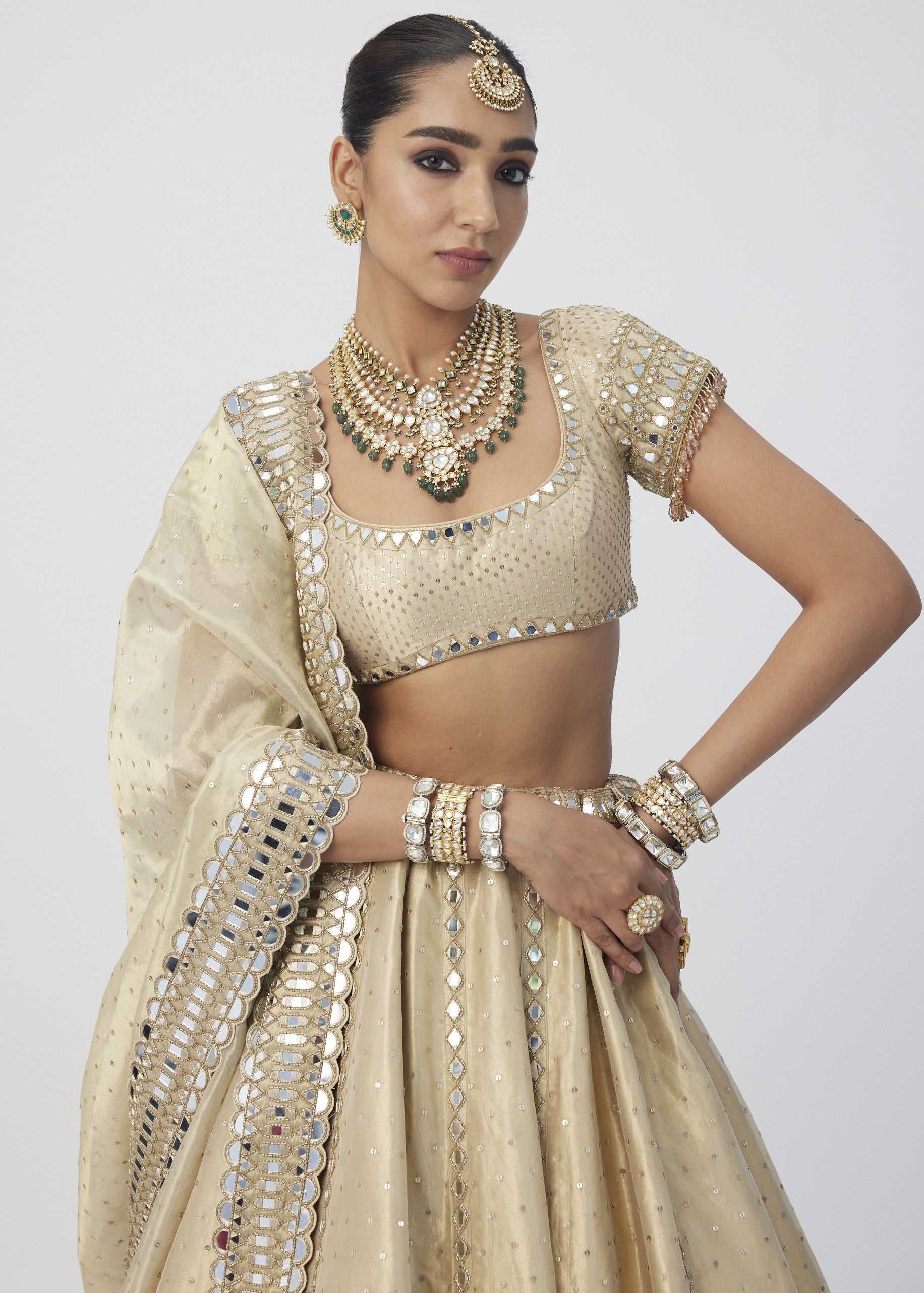 Golden Shimmer Organza Linear Lehenga Set