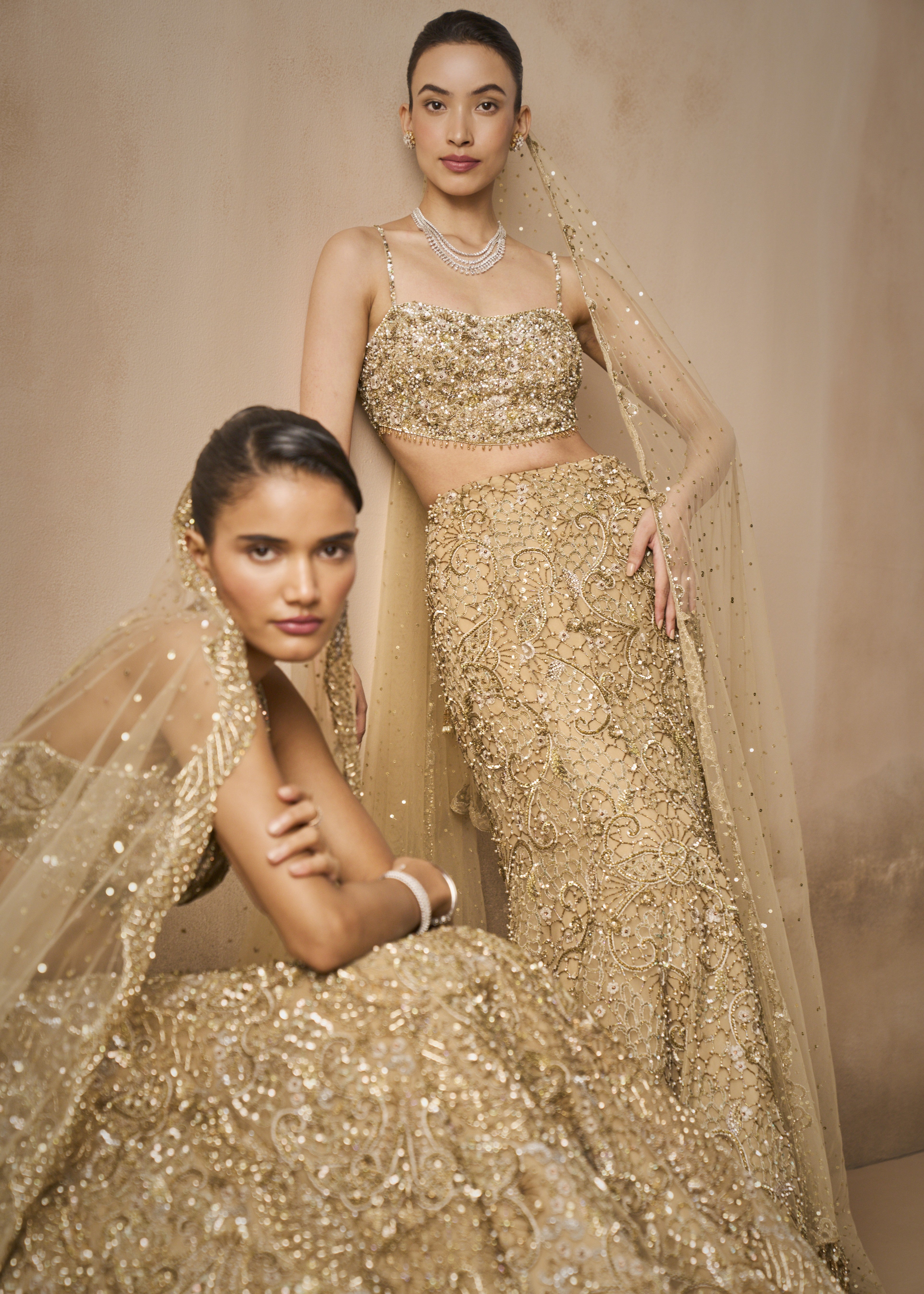 Beige Gold Sparkle Tulle Fit And Flare Lehenga Set