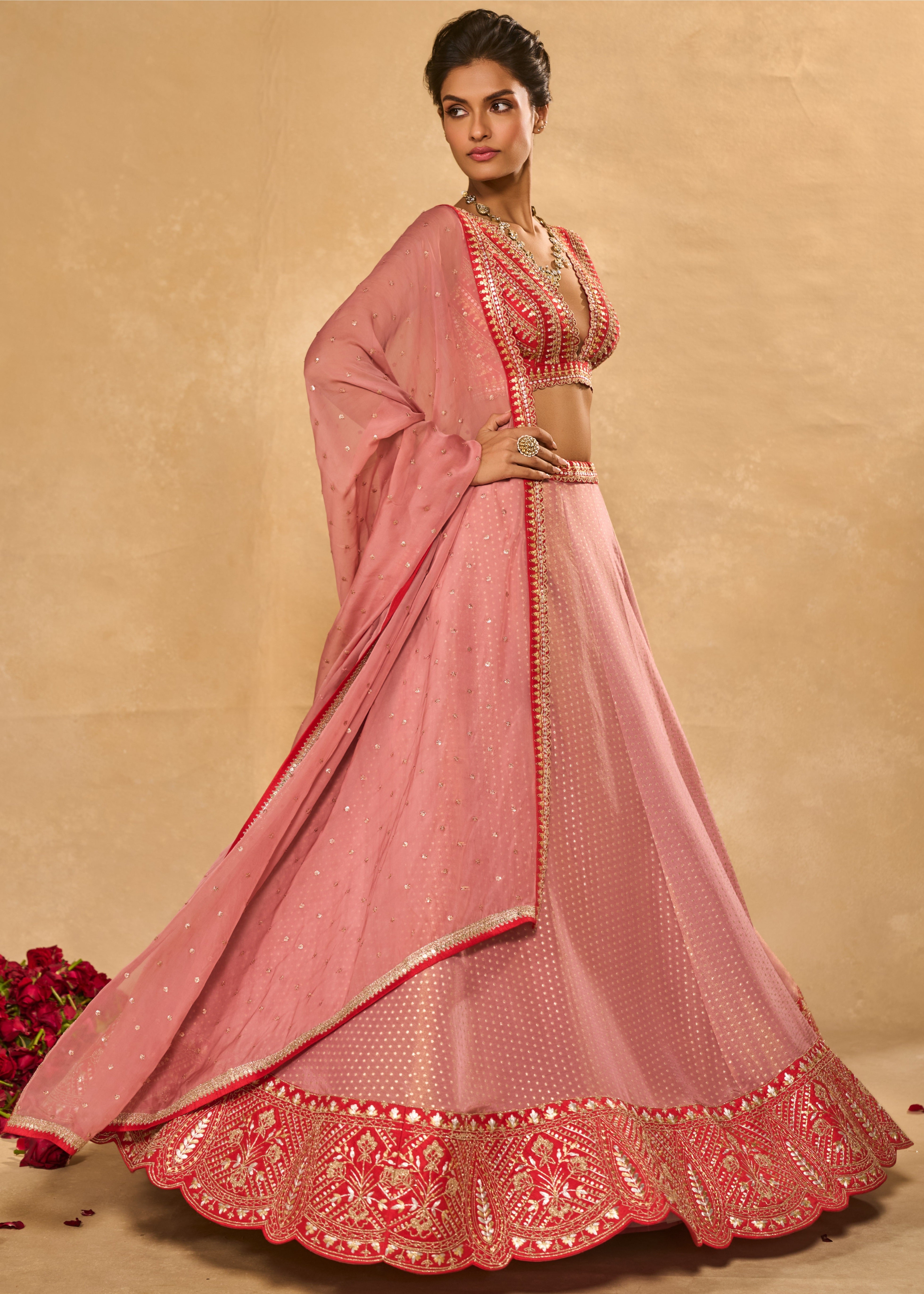 Mina Daman Lehenga