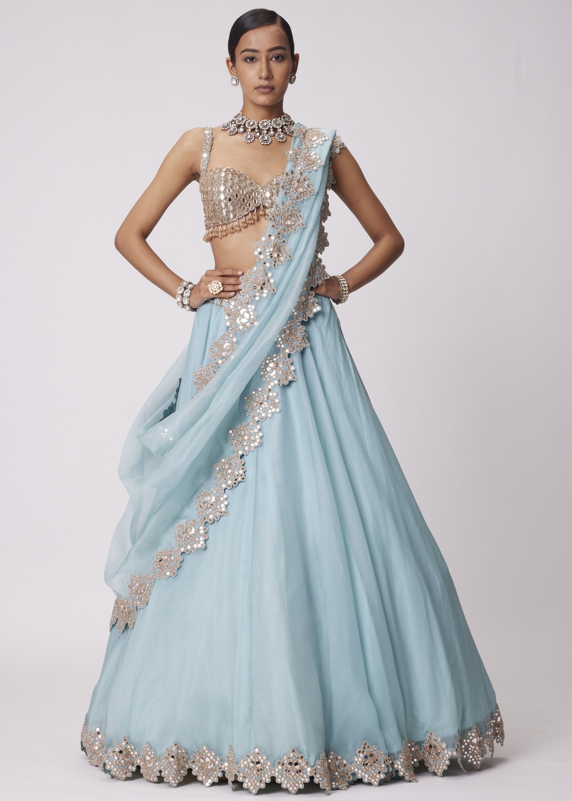 Powder Blue Organza Hand Embroidered Lehenga Set