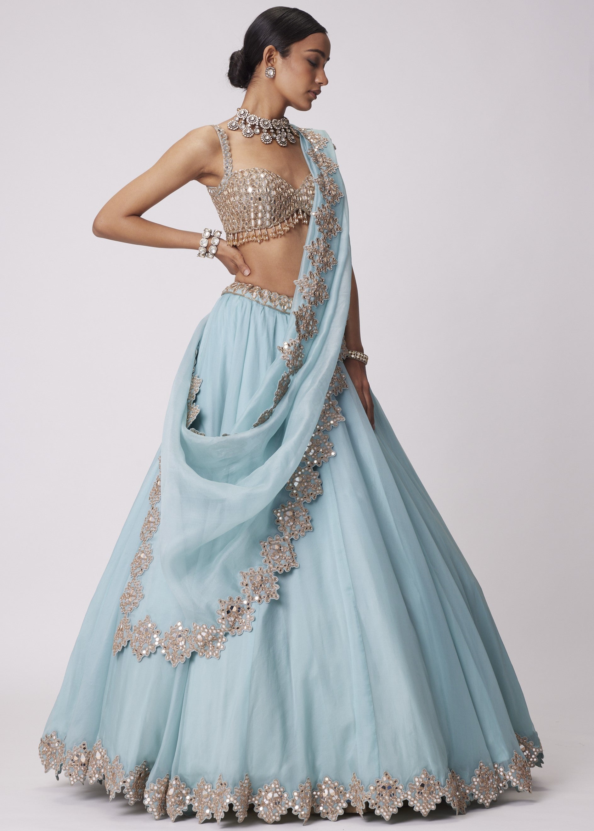Powder Blue Organza Hand Embroidered Lehenga Set