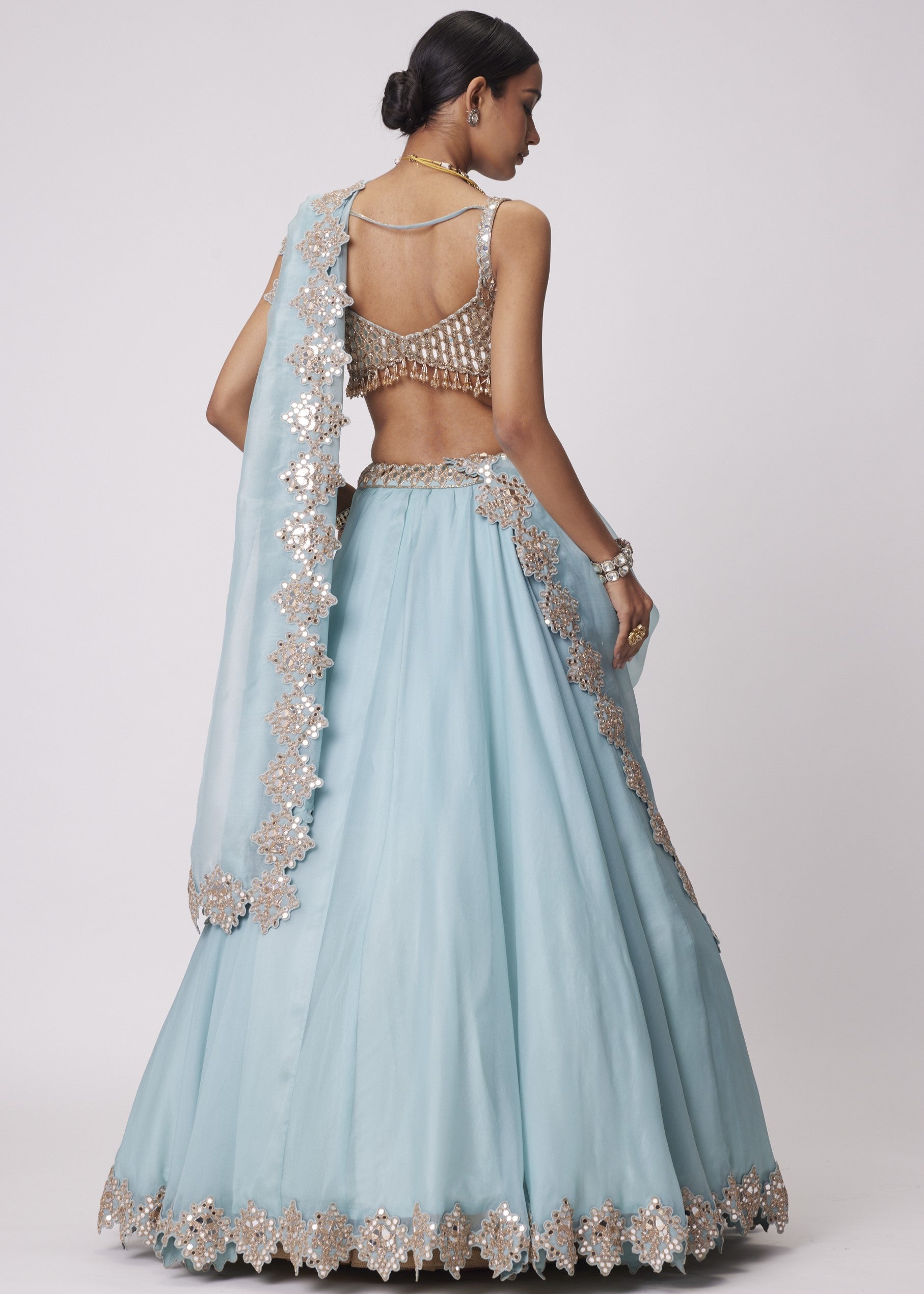 Powder Blue Organza Hand Embroidered Lehenga Set
