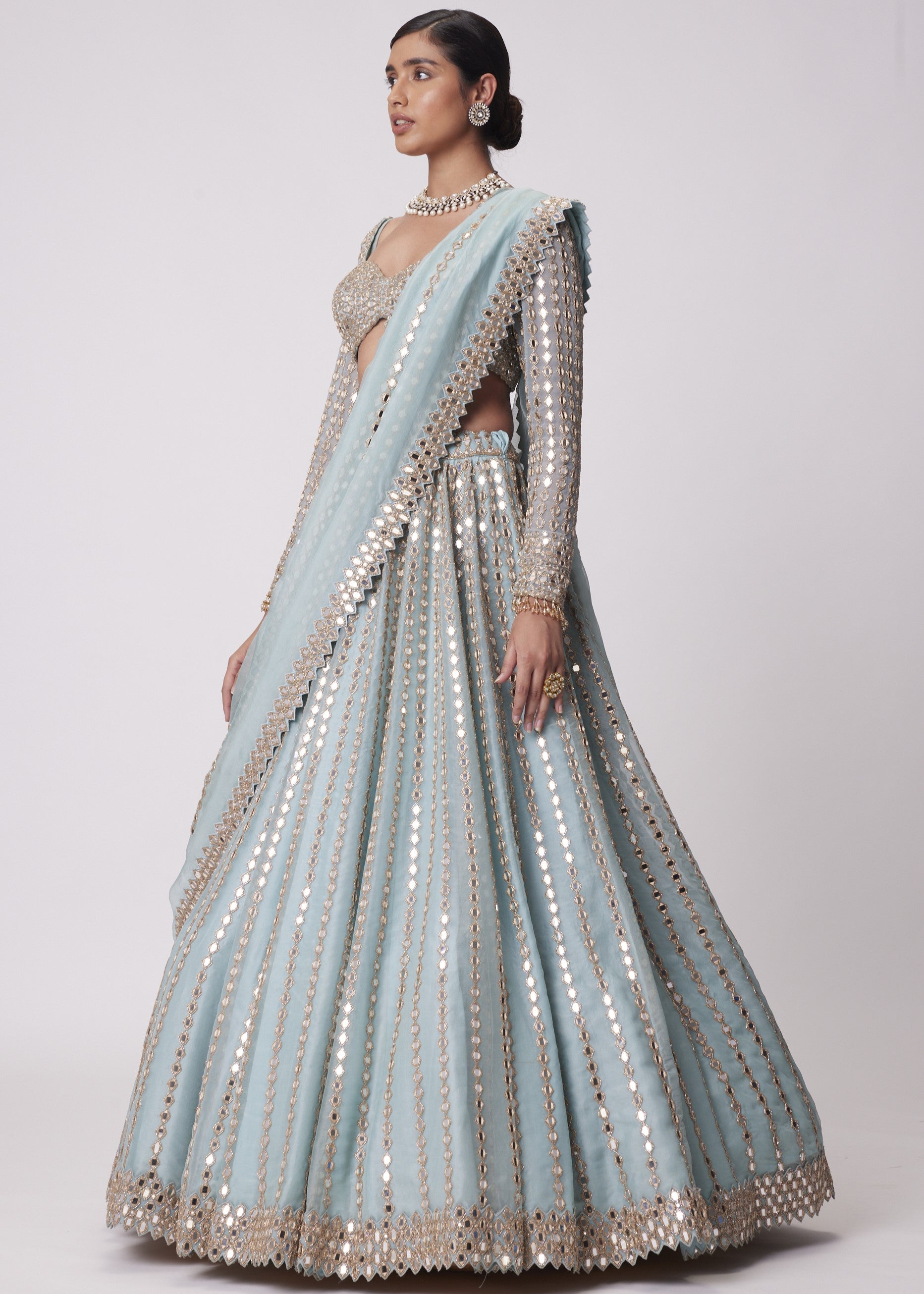 Powder Blue Linear Embroidered Lehenga Set