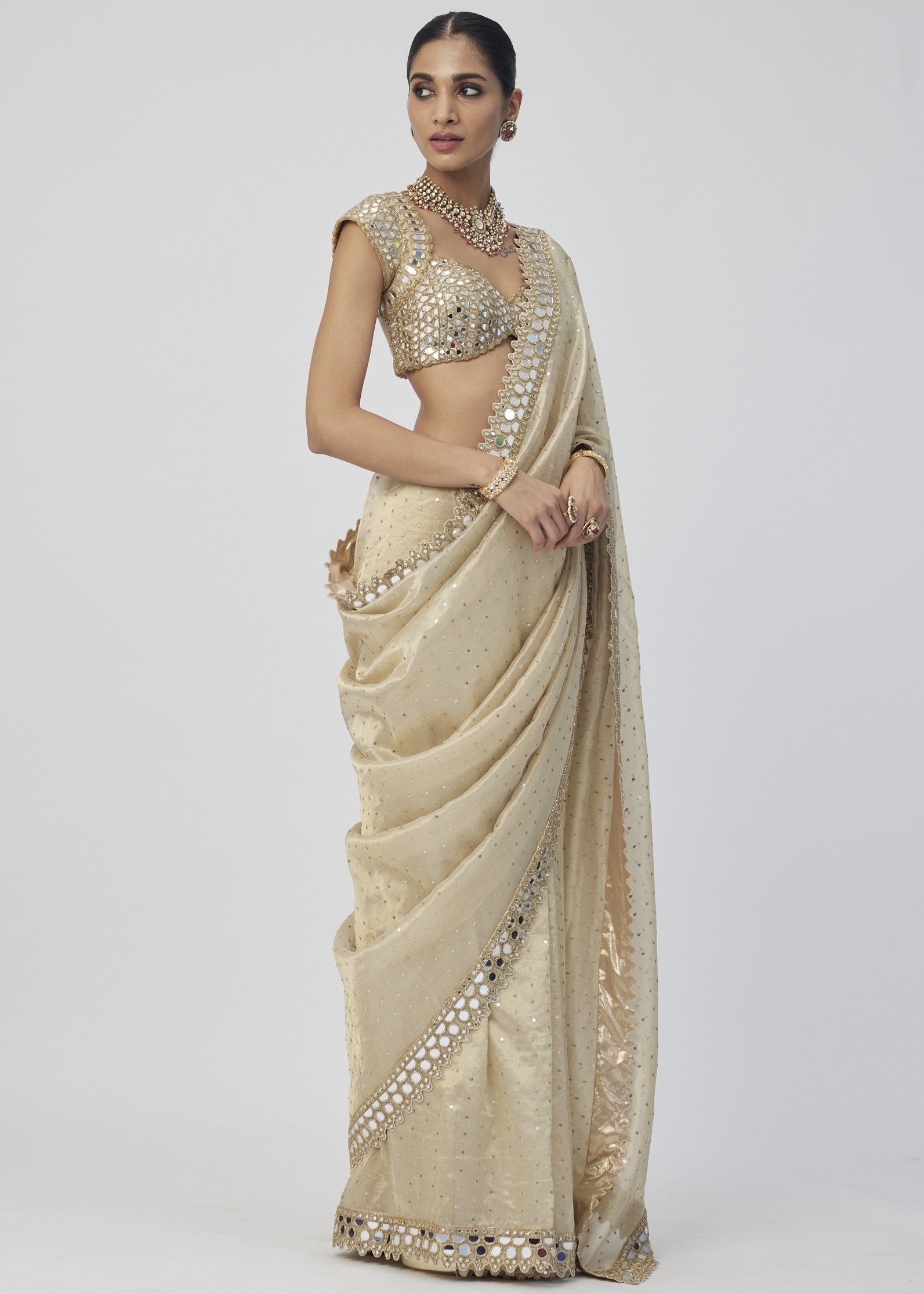 Golden Shimmer Organza Sari Set