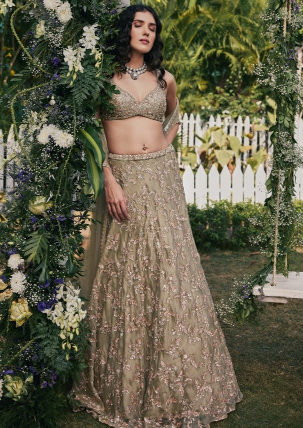 Serena Lehenga Set