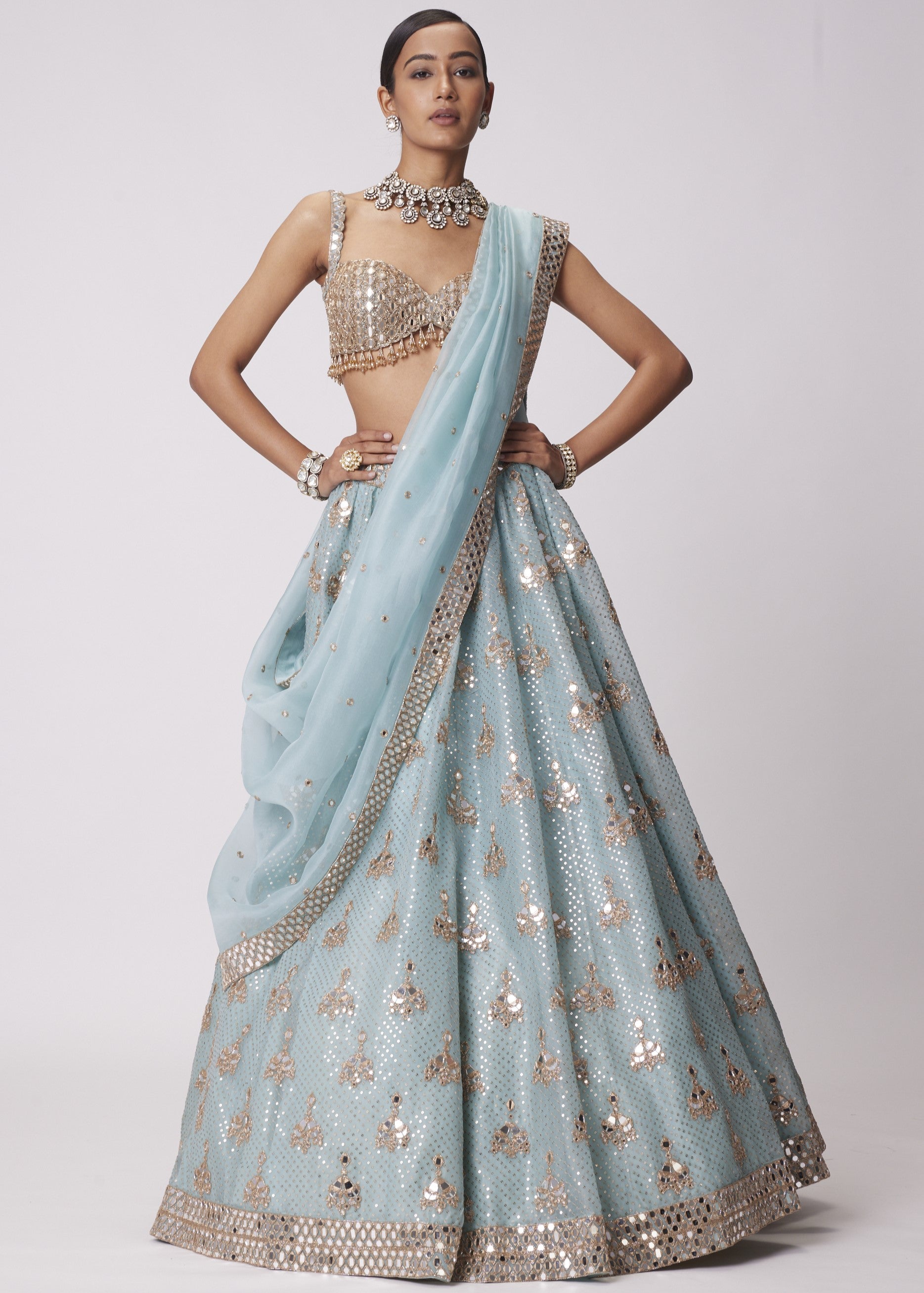 Powder Blue Organza Sequin Embroidered Lehenga Set