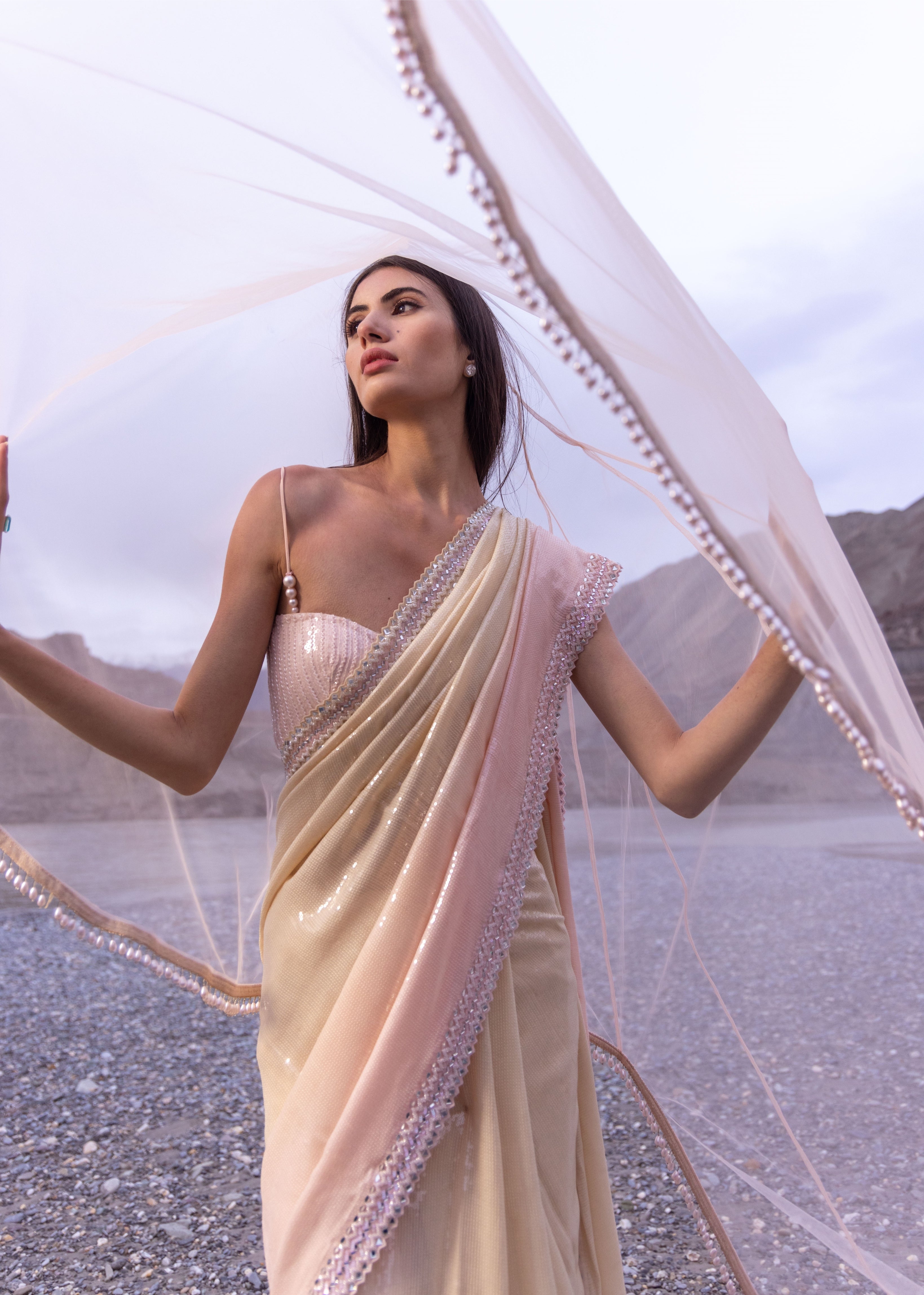 Nude To Pink Paani Sequins Ombre Sari