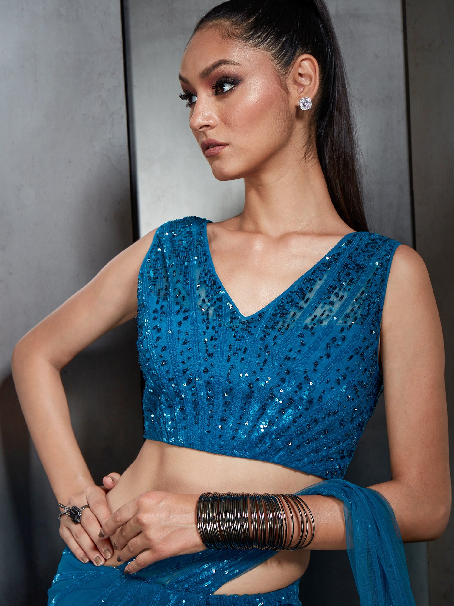 Blue Ombre Stripe Embroidery Sari