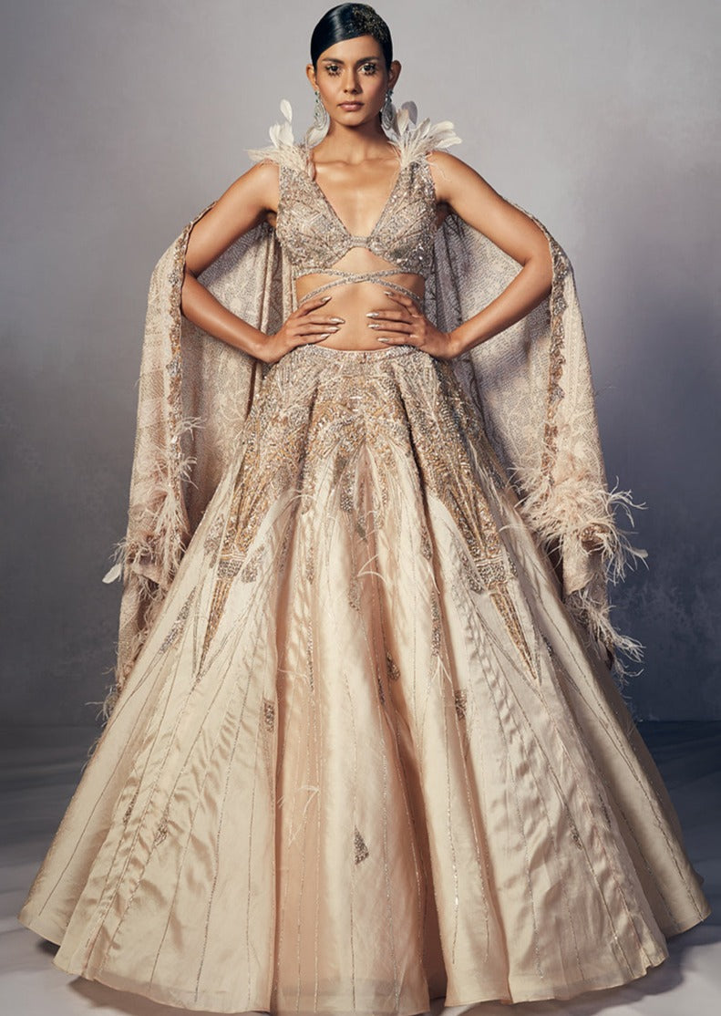 Renne Organza Lehenga Set