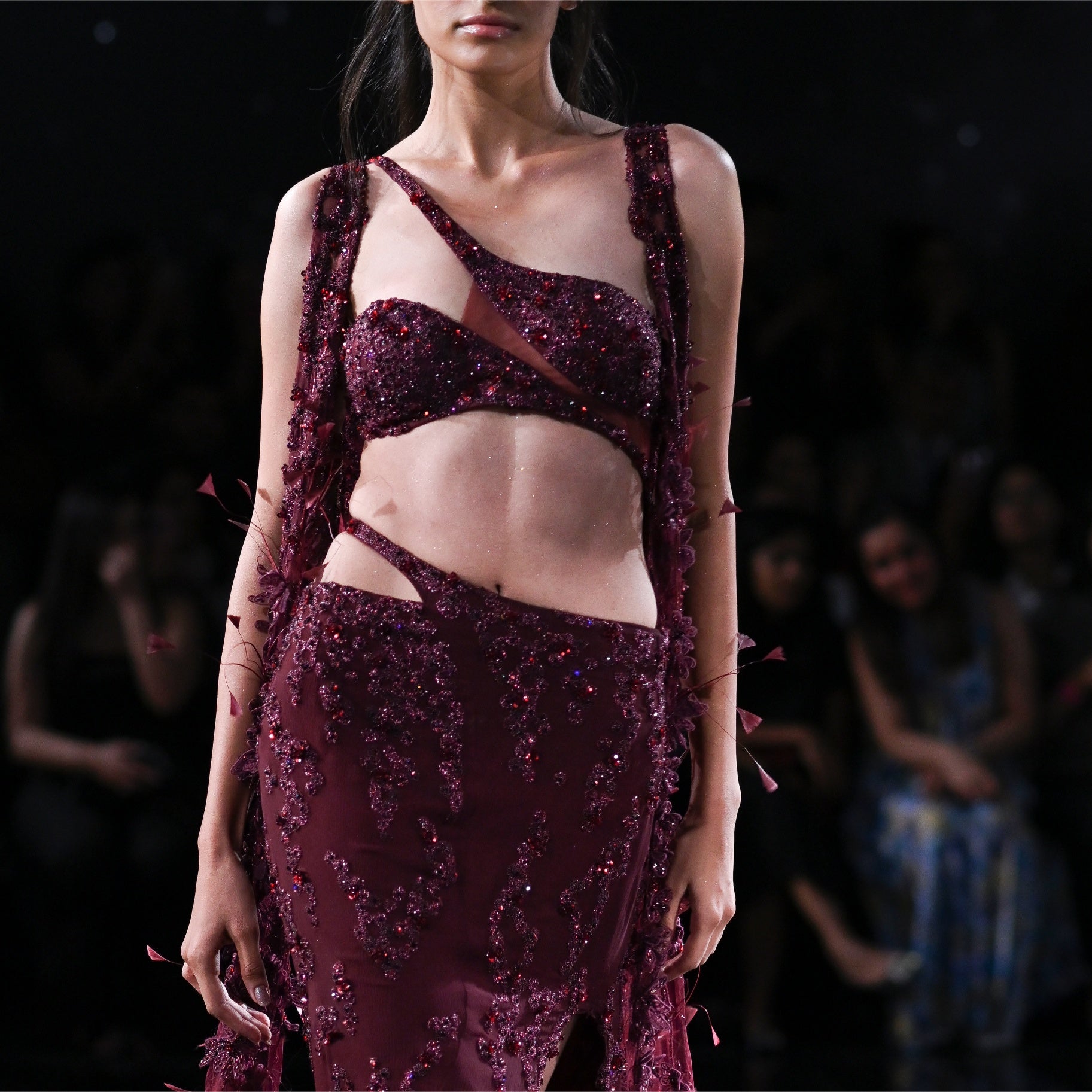 Maia Skirt Choli Set