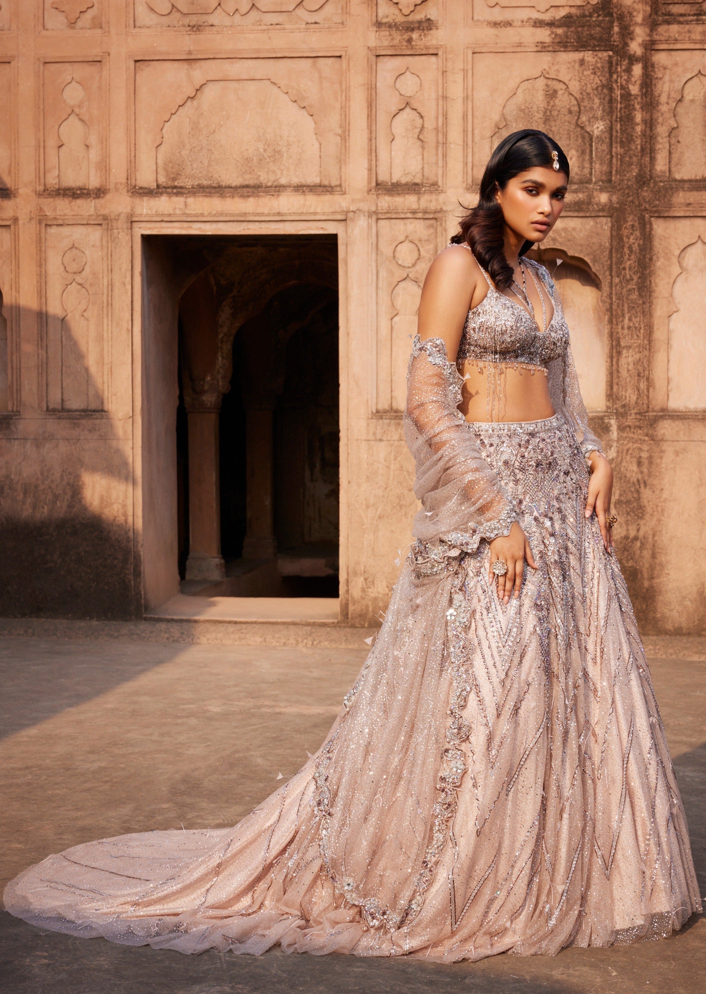 Phaenna Silver Shimmer Tulle Embroidered Lehenga