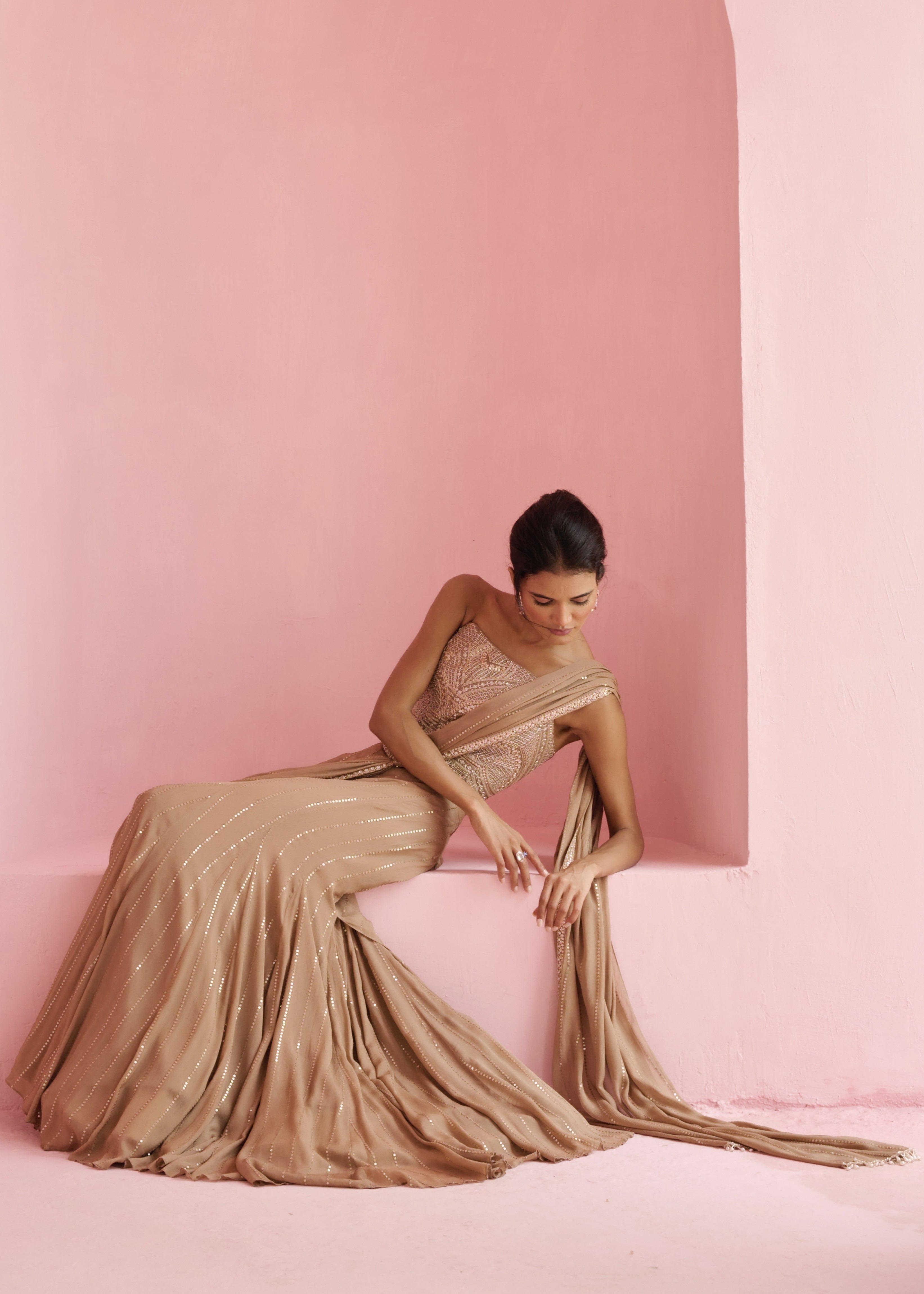 Stella Pre-drape Sari