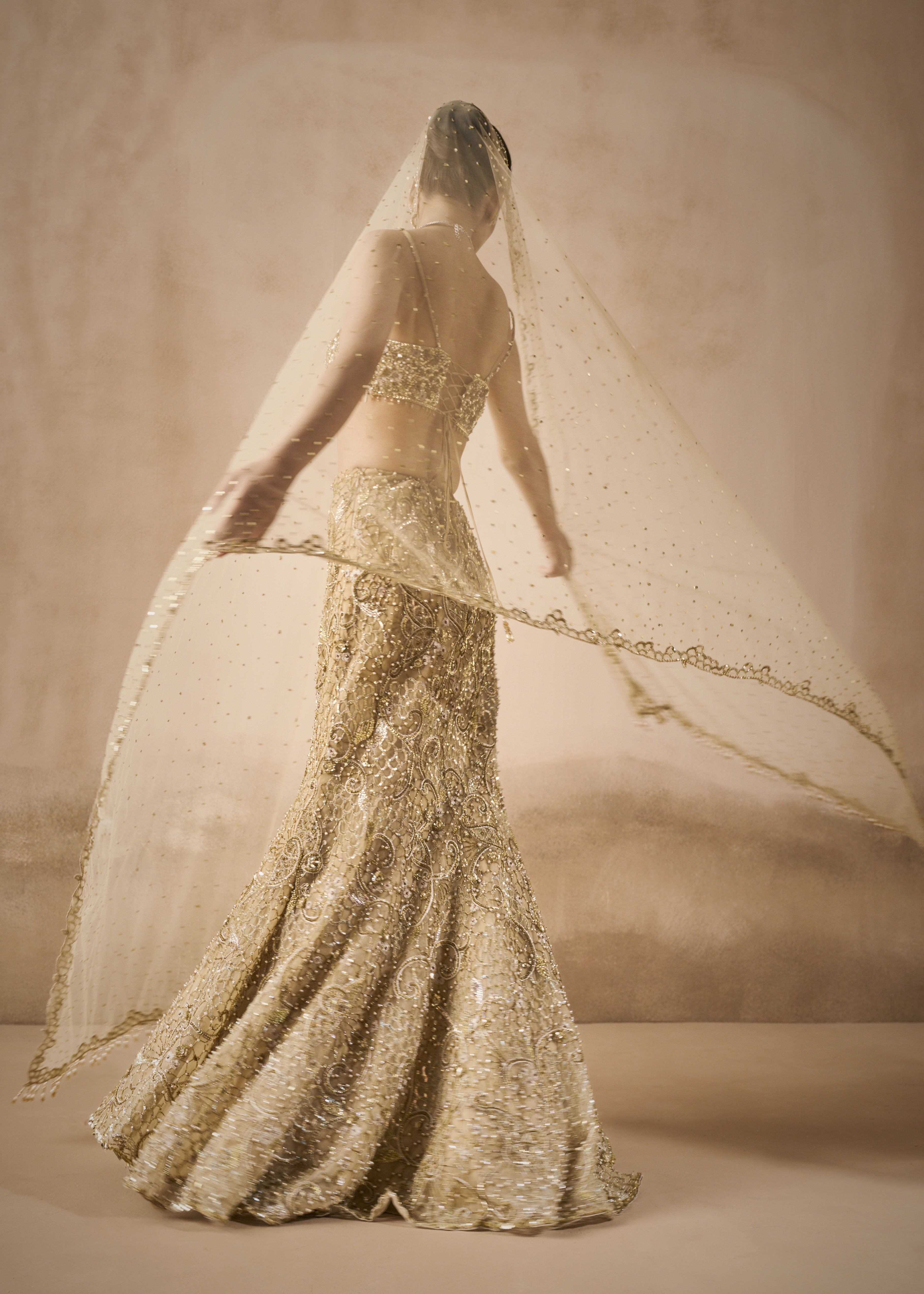Beige Gold Sparkle Tulle Fit And Flare Lehenga Set