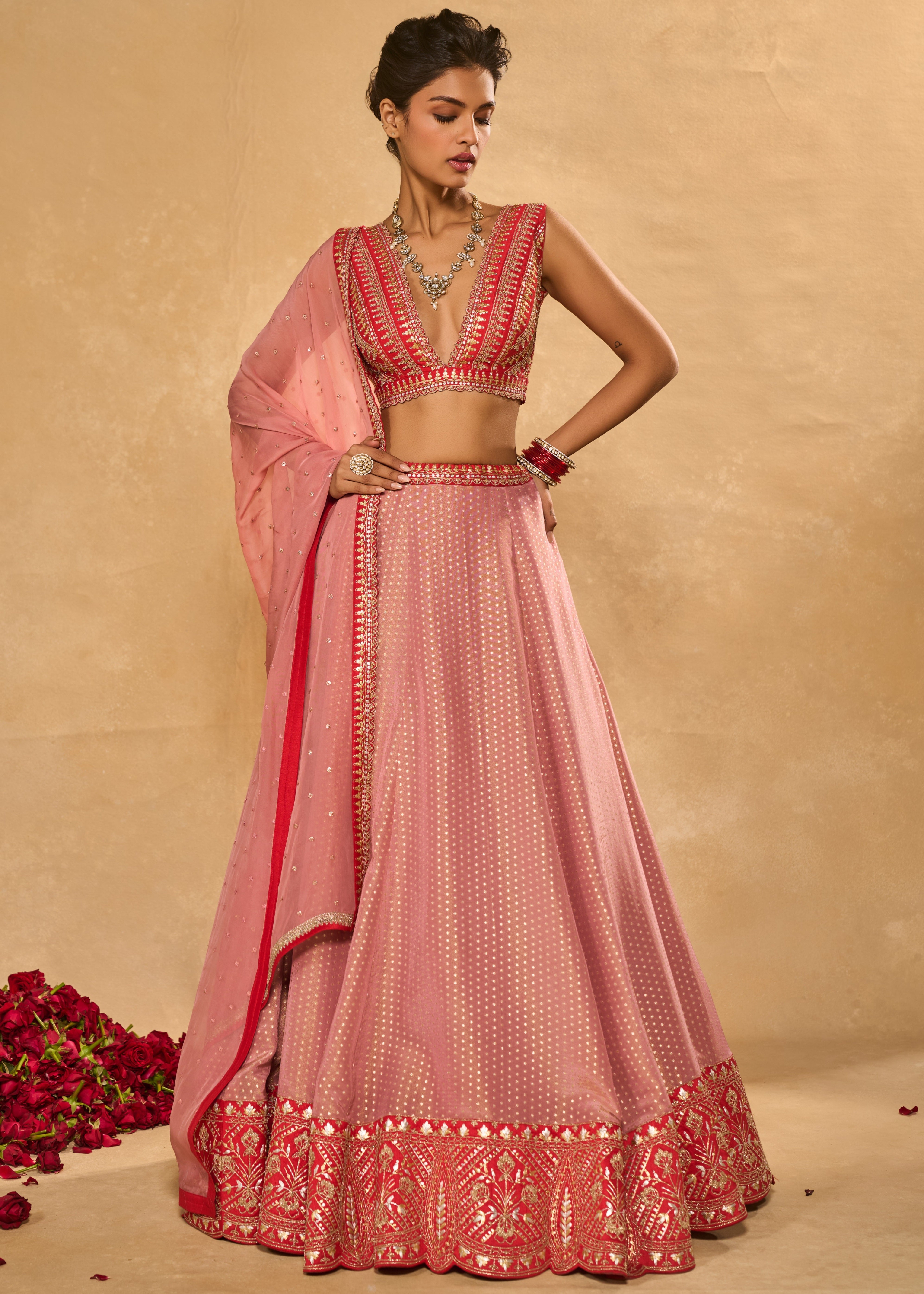 Mina Daman Lehenga