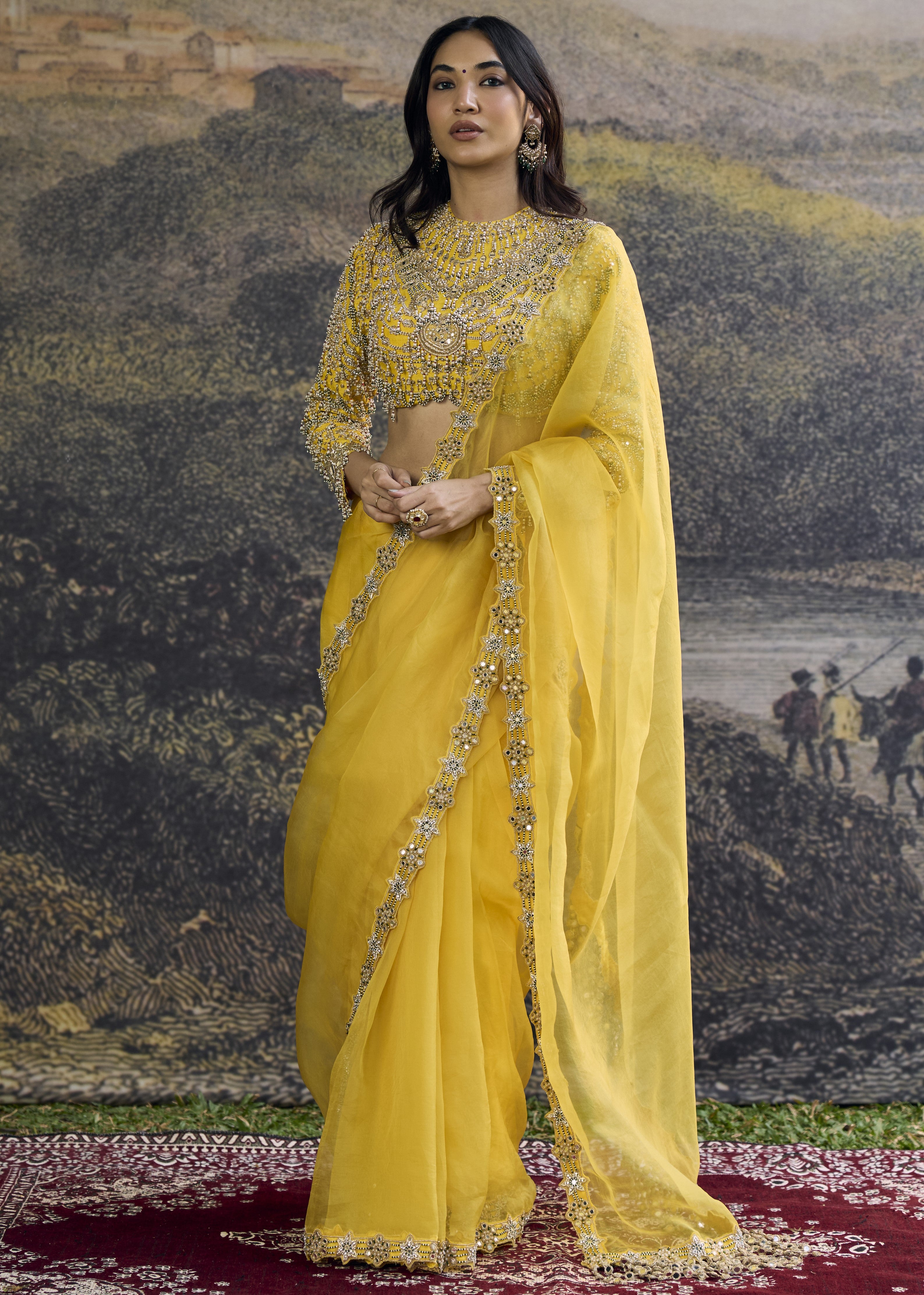 Peela Tara Organza Sari Set