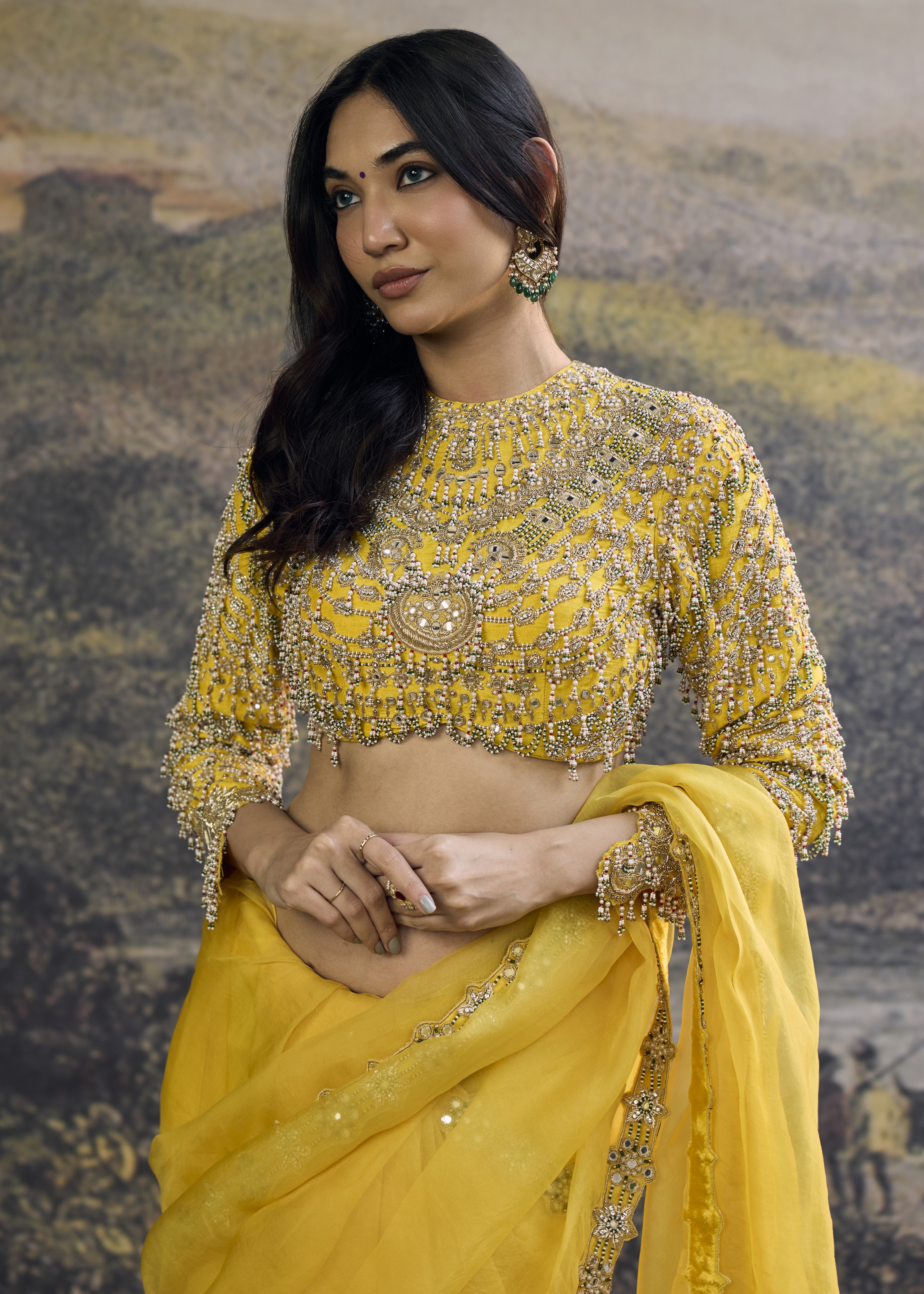 Peela Tara Organza Sari Set