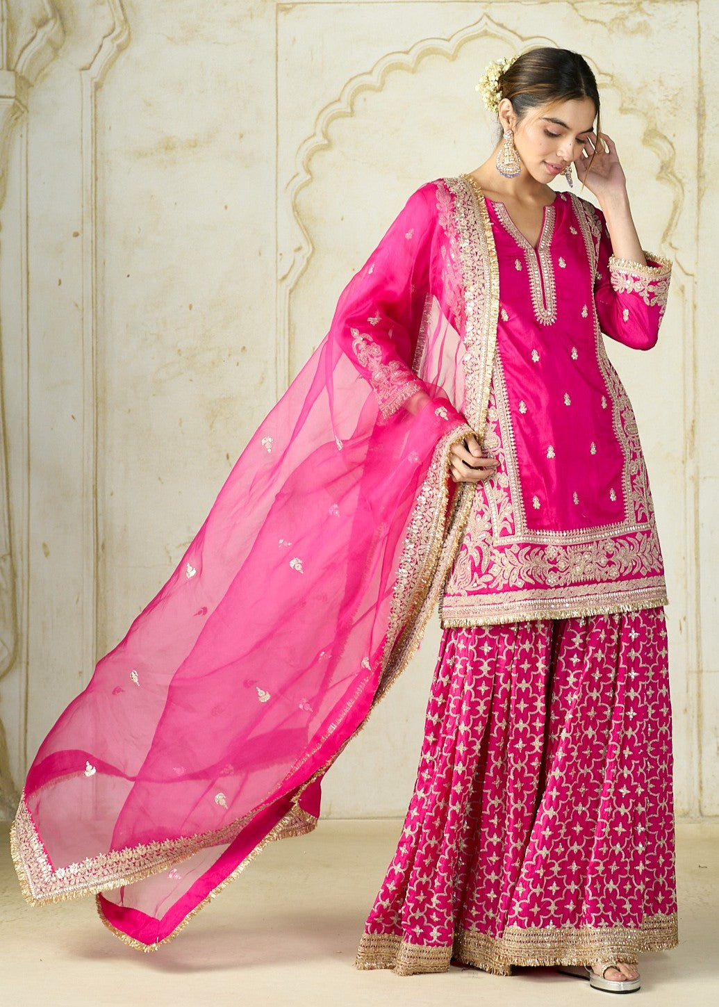 Rani Pink Mumtaz Sharara Set