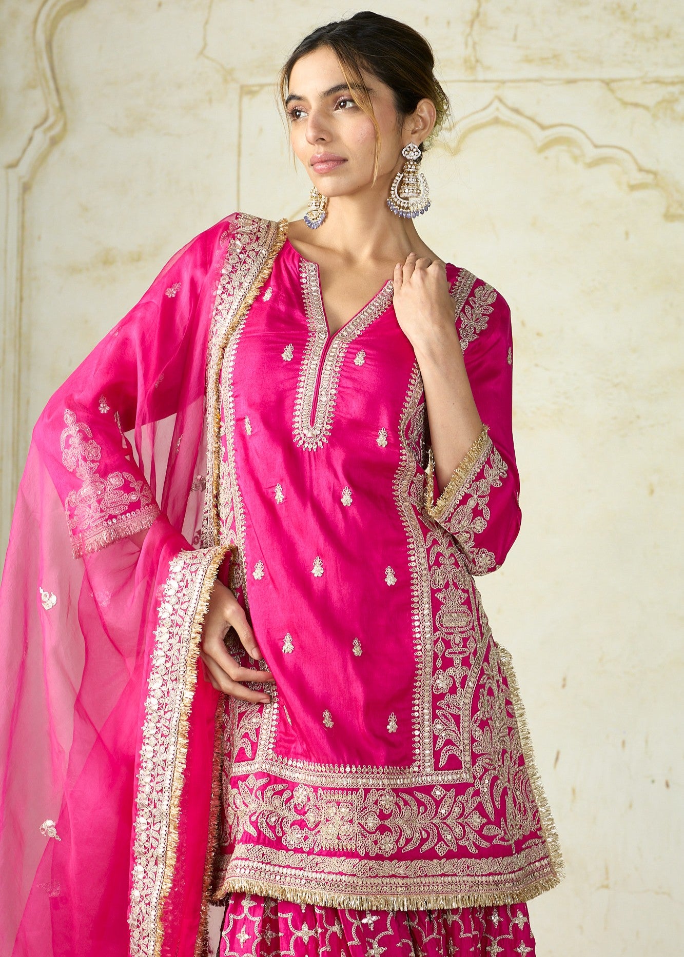 Rani Pink Mumtaz Sharara Set