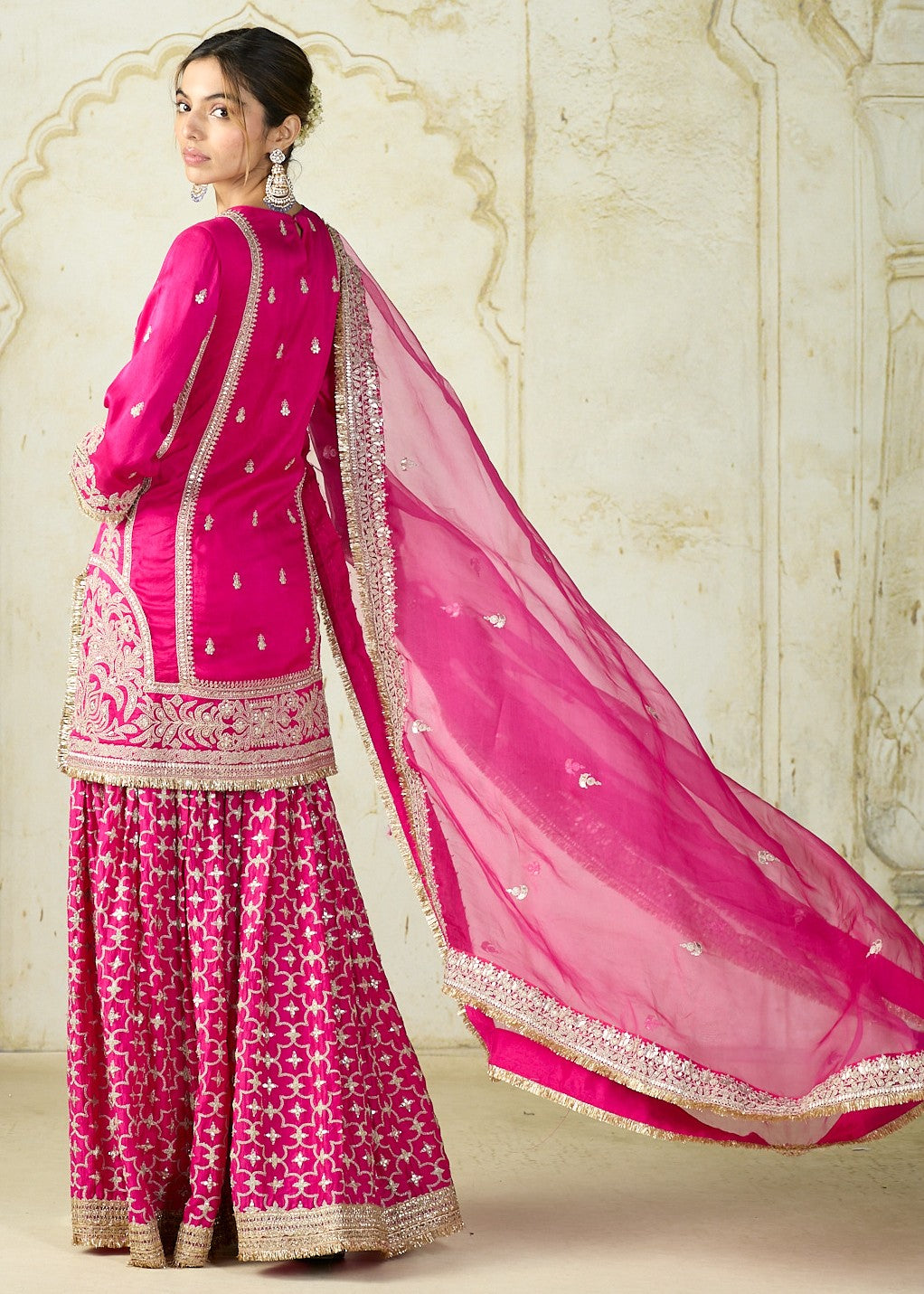 Rani Pink Mumtaz Sharara Set